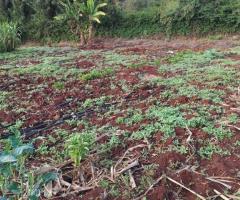 Prime land for sale Matasia,Merisho price Kshs.26 Million - 3