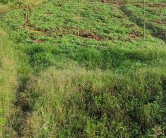 Prime land for sale Matasia,Merisho price Kshs.26 Million - 4