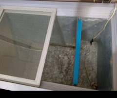 Used Deep Freezer - 2