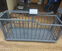 Pig weighing machine - 3