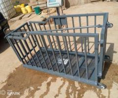 Pig weighing machine - 4