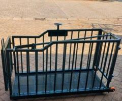 Pig weighing machine - 5