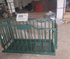 Pig weighing machine - 7