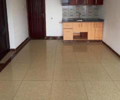 Modern clean spacious beautiful neat bedsitter to let at Ngara - 3