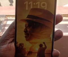 iPhone 13 Pro Max 256 GB - 3