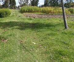 2,000 Acres Prime Agricultural land to lease in Nanyuki Laikipia county Ksh. 20,000/Acre/Year - 3