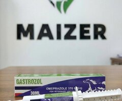 GASTROZOL | Best Omeprazole Paste for Horse Gastric Ulcer Treatment