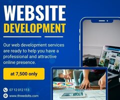 Website developer