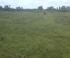 5acres land for sale - 4