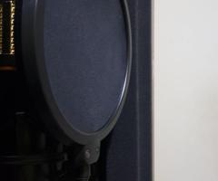 Pop shield - 2